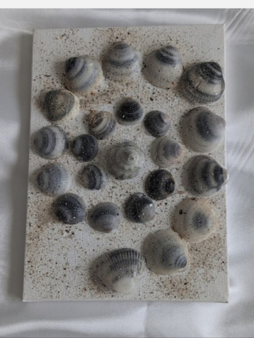 Set of three shell art panels. Perfect for girls bedroom! Seashell Art Trio - Picture 4 of 9